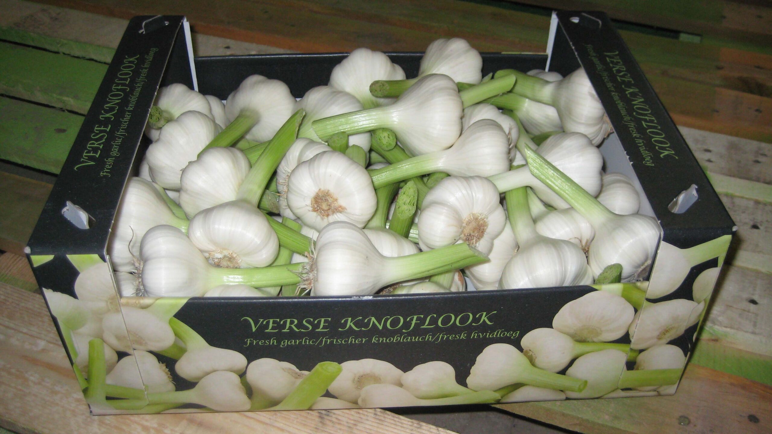 fresh garlic from zimbabwe